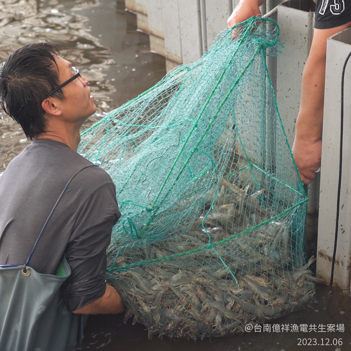 231206_光電謠言很瞎 其實光電養很多蝦2