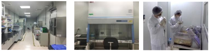 高分子醫材開發_7